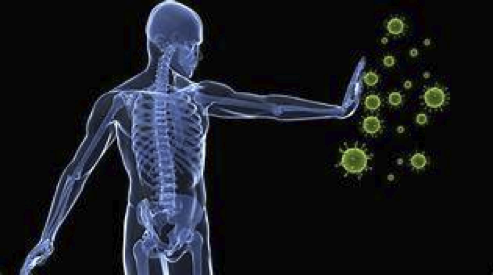 THE IMPORTANCE OF A HEALTHY IMMUNE SYSTEM